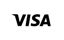 Visa payment method icon